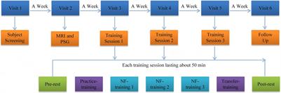 Real-Time fMRI Neurofeedback Training Changes Brain Degree Centrality and Improves Sleep in Chronic Insomnia Disorder: A Resting-State fMRI Study